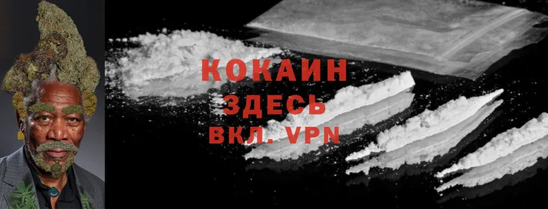 Cocaine Fish Scale  Алексин 